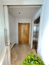 Rhapsody On Mount Elizabeth (D9), Apartment #458864321